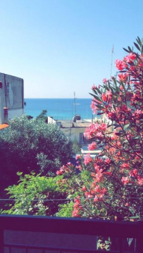 Paradise view